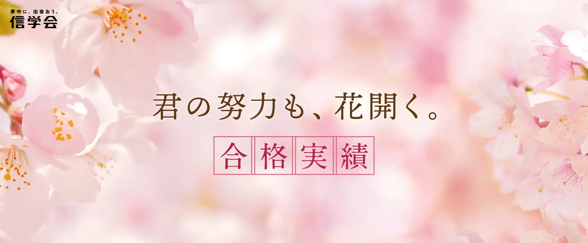 合格実績